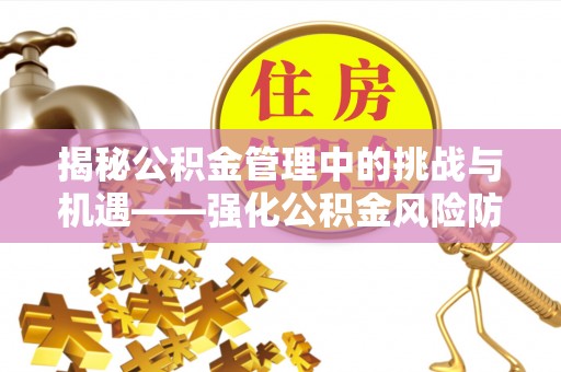 江孜揭秘公积金管理中的挑战与机遇——强化公积金风险防控的多维策略