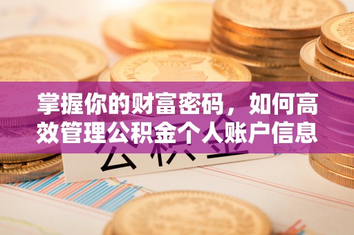 江孜掌握你的财富密码，如何高效管理公积金个人账户信息