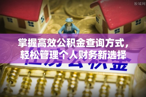 江孜掌握高效公积金查询方式，轻松管理个人财务新选择