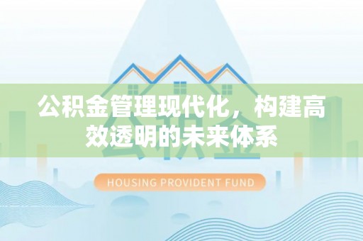 江孜公积金管理现代化，构建高效透明的未来体系