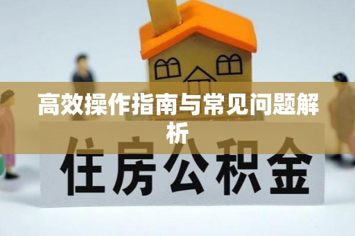 江孜高效操作指南与常见问题解析