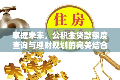 江孜掌握未来，公积金贷款额度查询与理财规划的完美结合