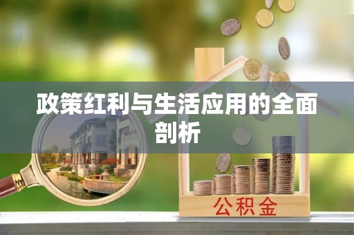 江孜政策红利与生活应用的全面剖析