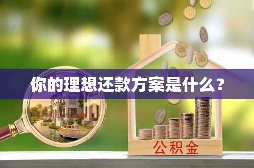 江孜你的理想还款方案是什么？
