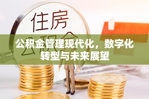 江孜公积金管理现代化，数字化转型与未来展望