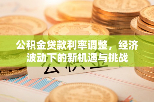 江孜公积金贷款利率调整，经济波动下的新机遇与挑战