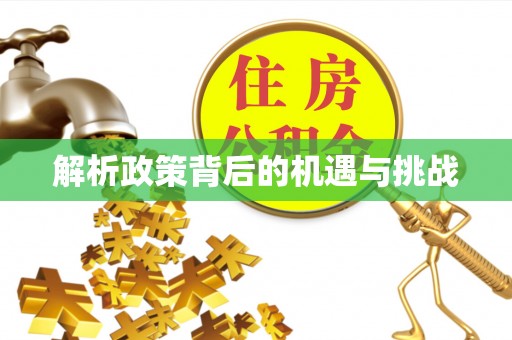 江孜解析政策背后的机遇与挑战