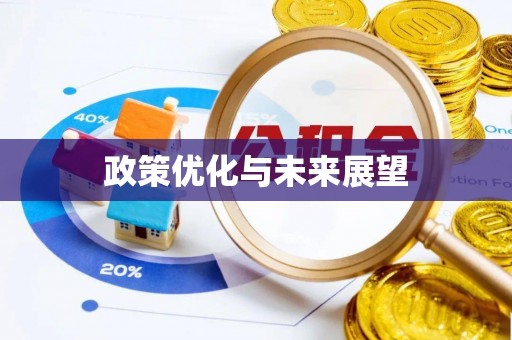 江孜政策优化与未来展望