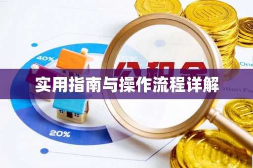 江孜实用指南与操作流程详解