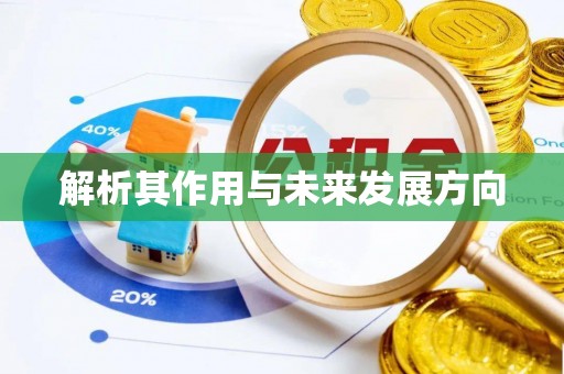 江孜解析其作用与未来发展方向
