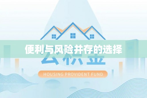 江孜便利与风险并存的选择
