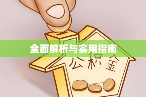江孜全面解析与实用指南